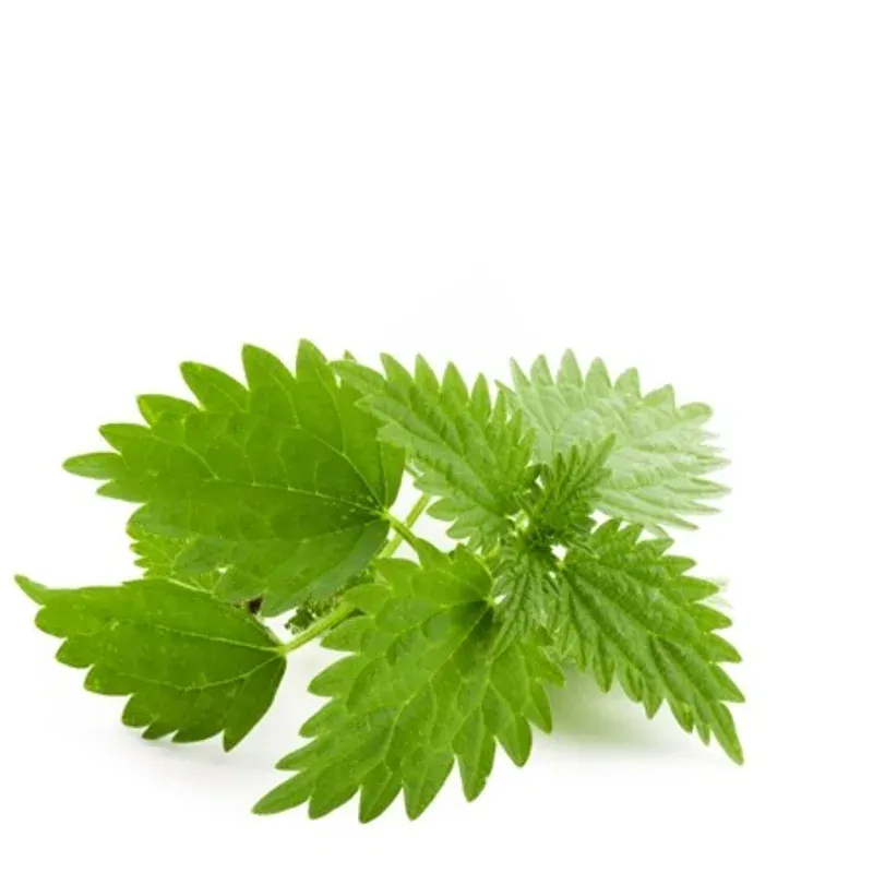 čaj Vitto tea Kopřiva 20 sáčků