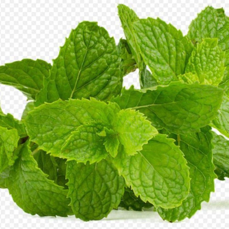 Liran Čaj Pyramid box Fruit Herbal 12ks